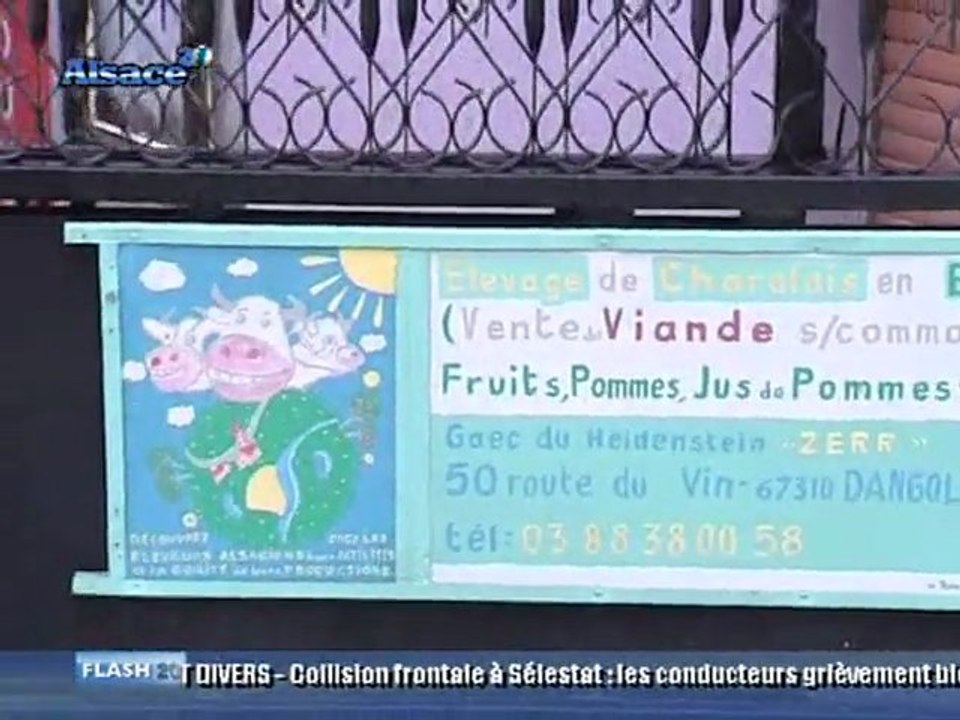 L'Agriculture Bio en Alsace
