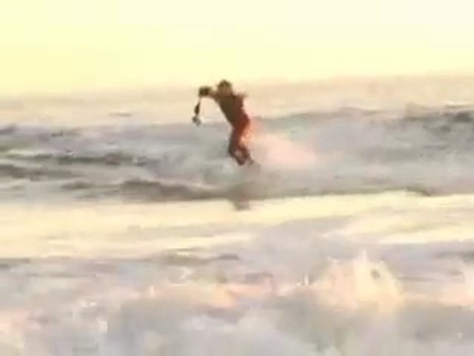 Shark surfer