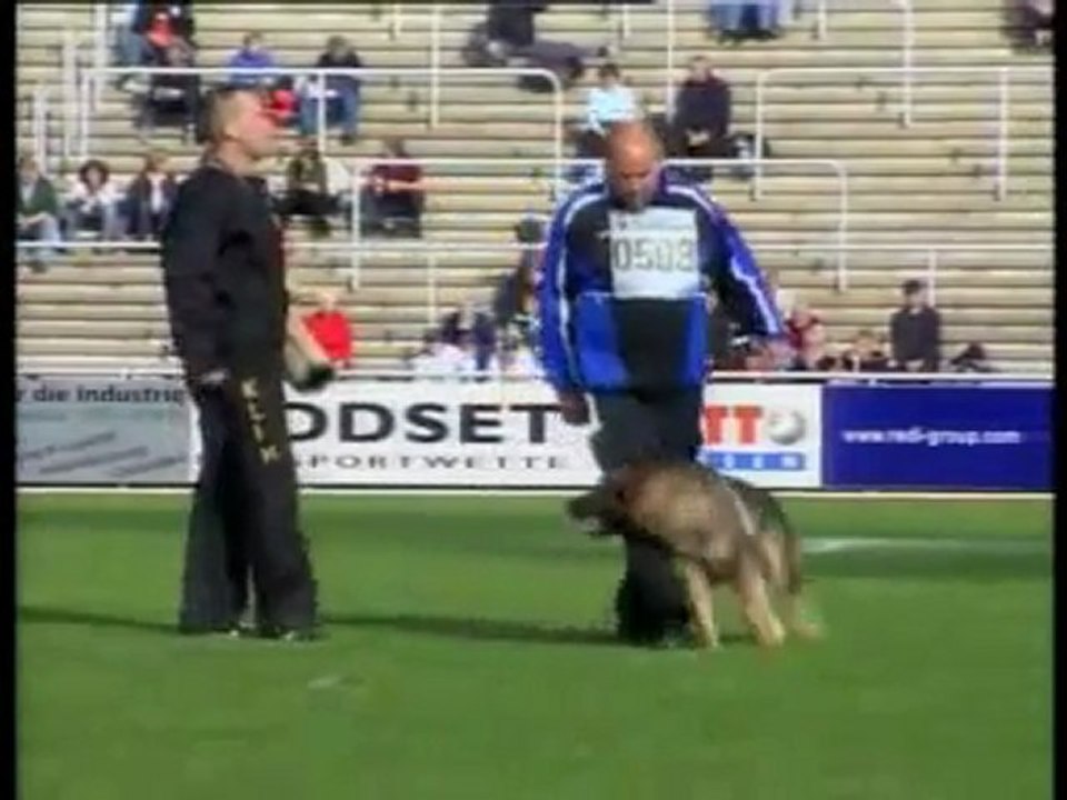 BSP 2008 C - Diethelm v. Embachtal