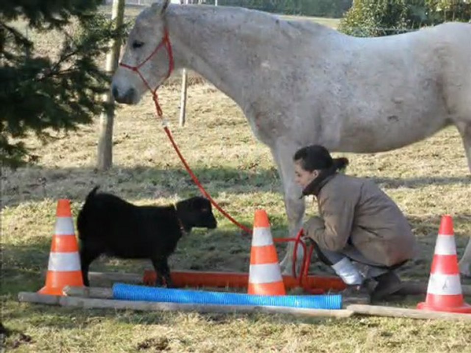 Vacances de février 2010