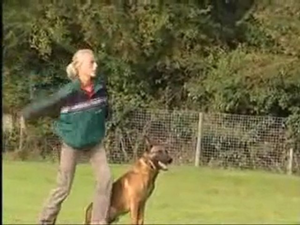PERFEKTION DES HUNDESPORTS