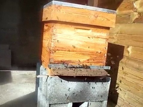 Premiers rayons de soleil!