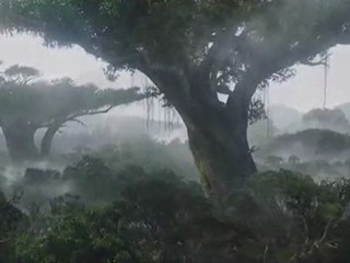 Ali Wilson - PANDORA (Original Mix) [AVATAR Tribute]