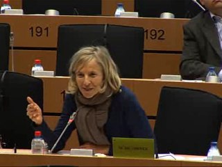 Intervention Marielle De Sarnez en commission AFET 22/02/10