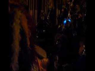 D'Verruckta Storcka Performs 'Free from Desire' at Mulhouse Carnival 🎉