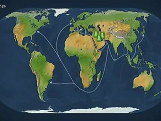 Mit offenen Karten - Geschichte der Kohle
