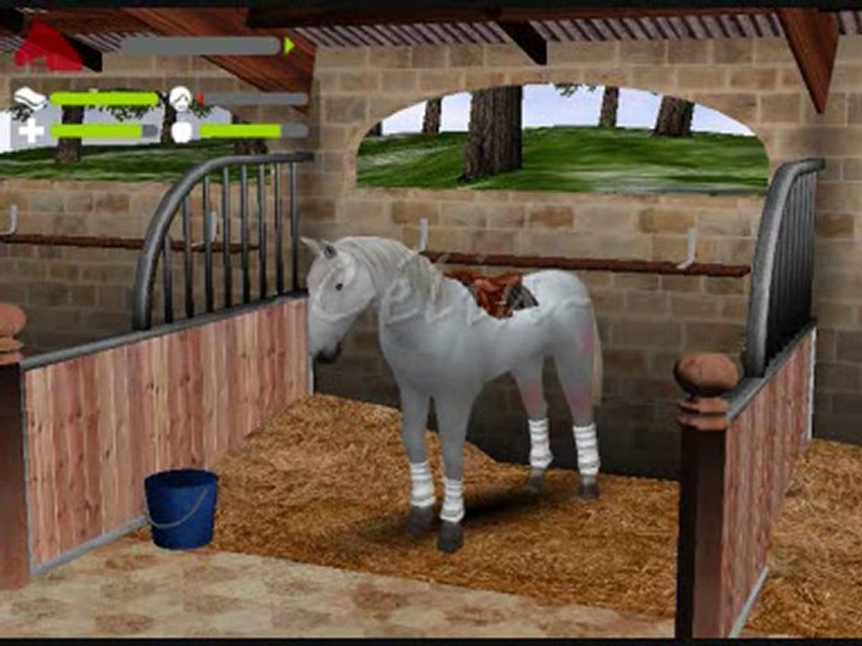 -Mission Equitation- mes chevaux