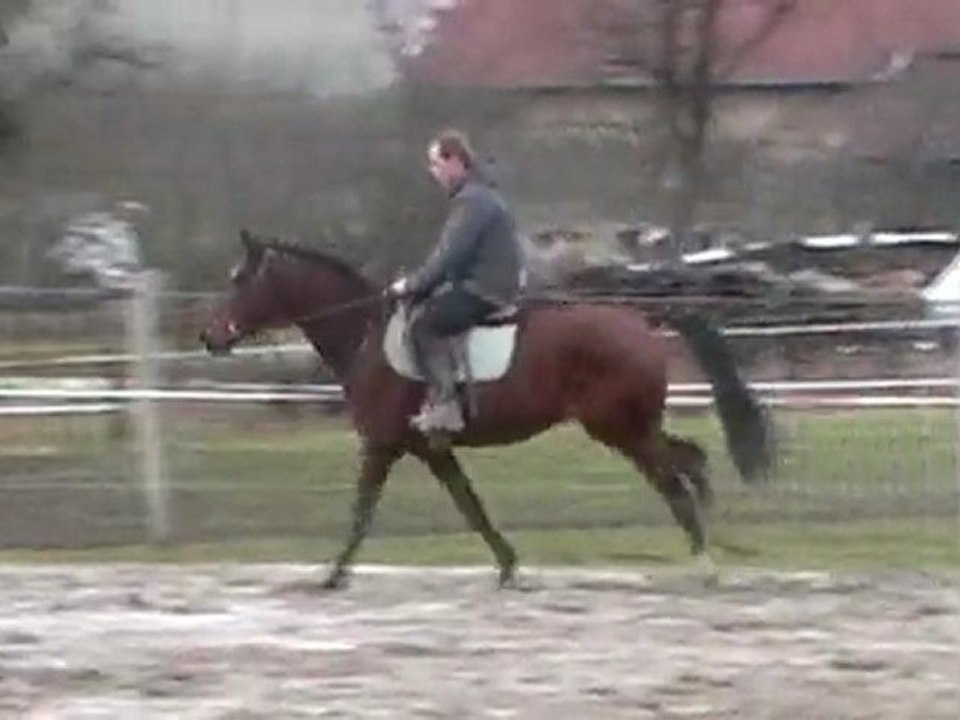 SPEEDERMAN BLANC