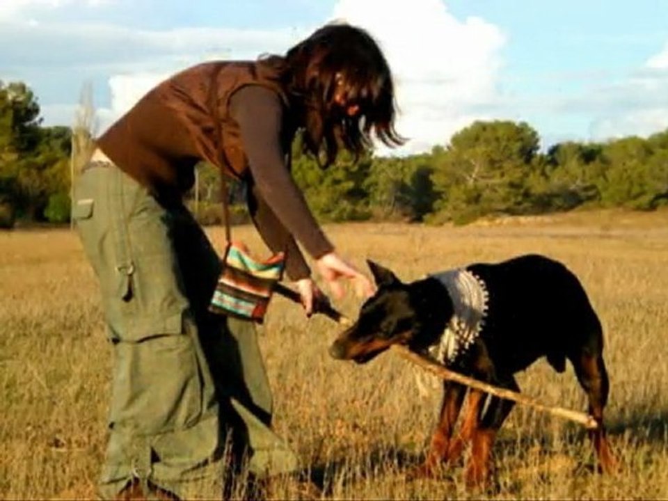Seven, l'Aventurier de St Pons
