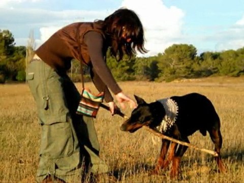 Seven, l'Aventurier de St Pons