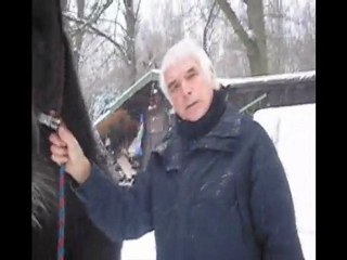 apollo et samantha galopent dans la neige