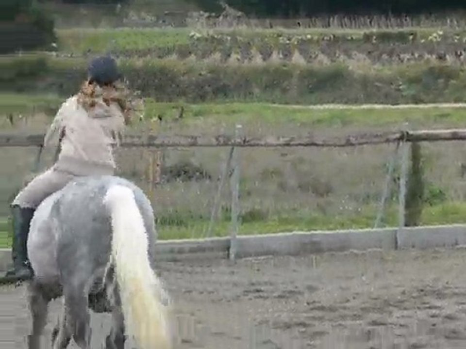 galop a cru !!