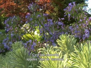 Les jardins de Victoria - BC, Canada
