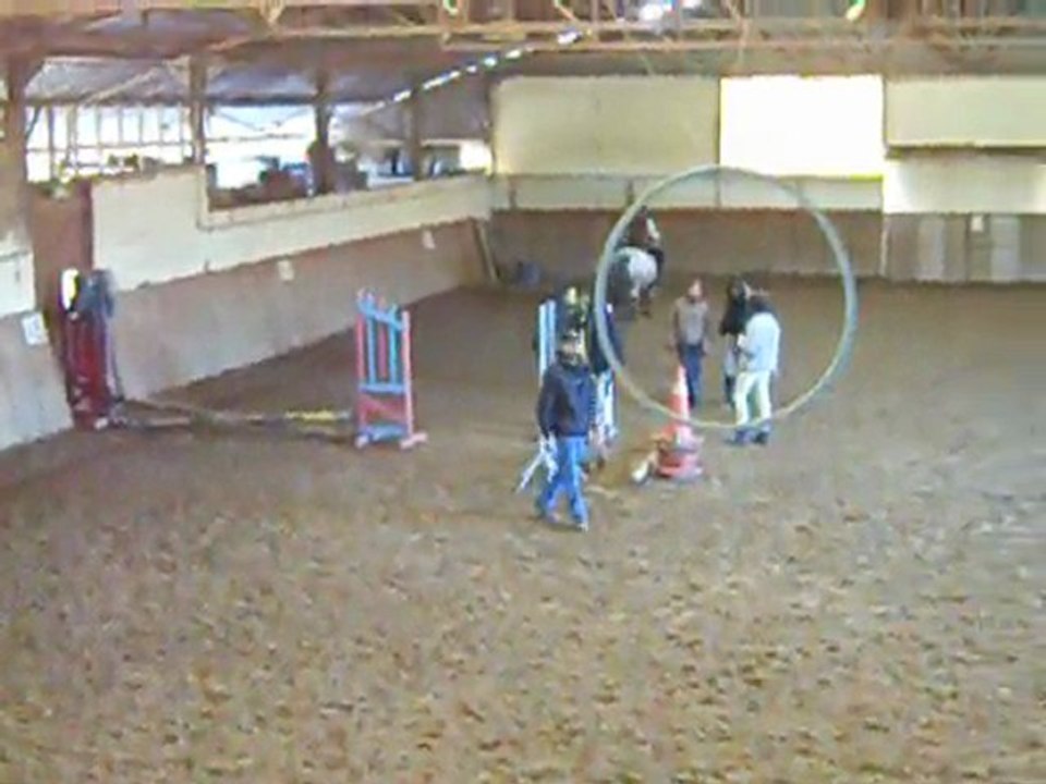 saut d'obstacle ... 24 / o2 / 2o1o