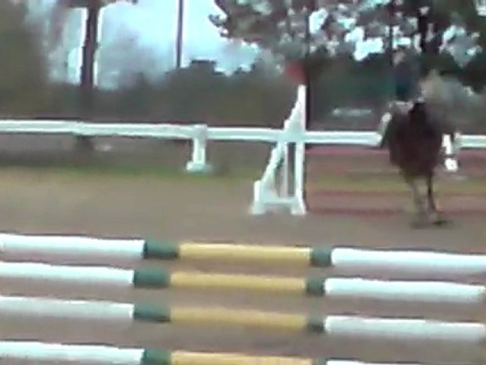 Quaprice entrainement 2008
