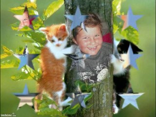 CHATS et autres avec WILLIAM