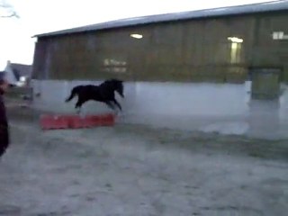 Ecurie du Nevez Rhomée