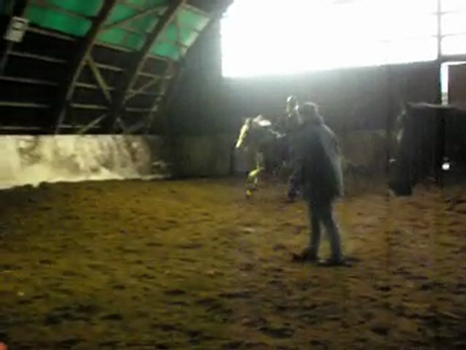 névada galop 4 saut obstacle