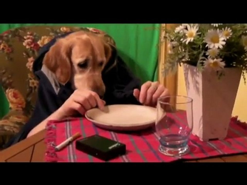 Un incroyable chien humain qui mange au restaurant