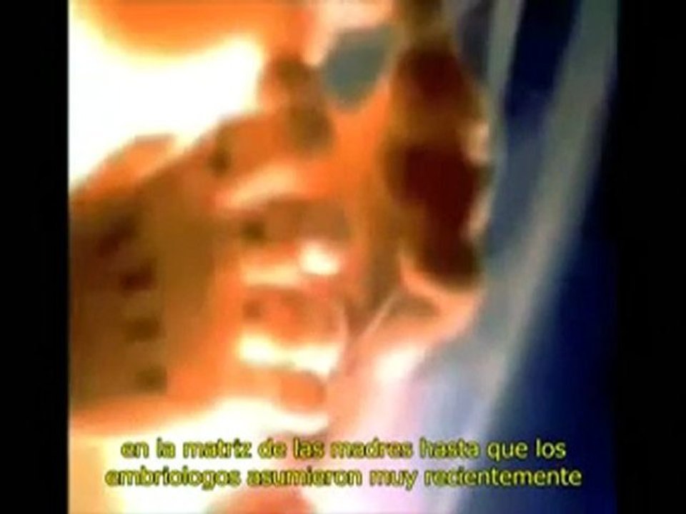 El Libro Divino 6 - La Embriología Humana