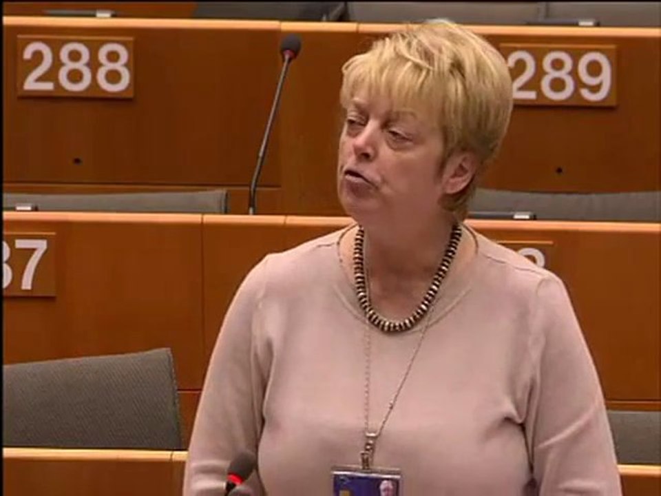 Annemie Neyts-Uyttebroeck on Goldstone recommendations