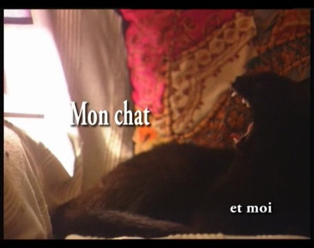MON CHAT et moi Chat qui chante