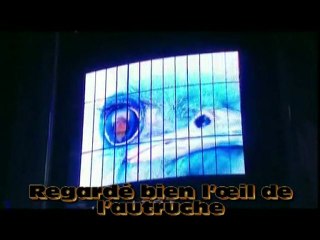 Doctrine de la Vérité Part - 08 -  Attention a Vos enfants