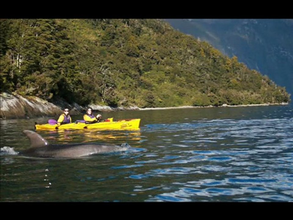 Roscos Milford Kayaks Milford Sound New Zealand