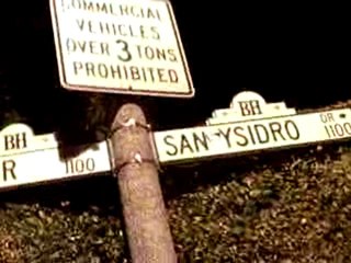 Tower Road Beverly Hills,CA By Clinton H. Wallace