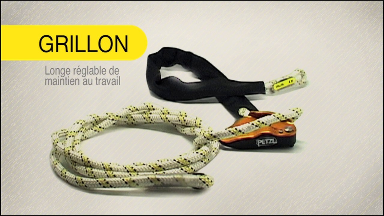 GRILLON [français] Longe de maintien au travail