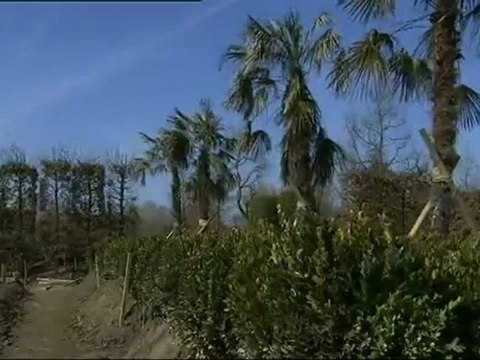 Rétrospective 2009 du chantier du parc Terra Botanica