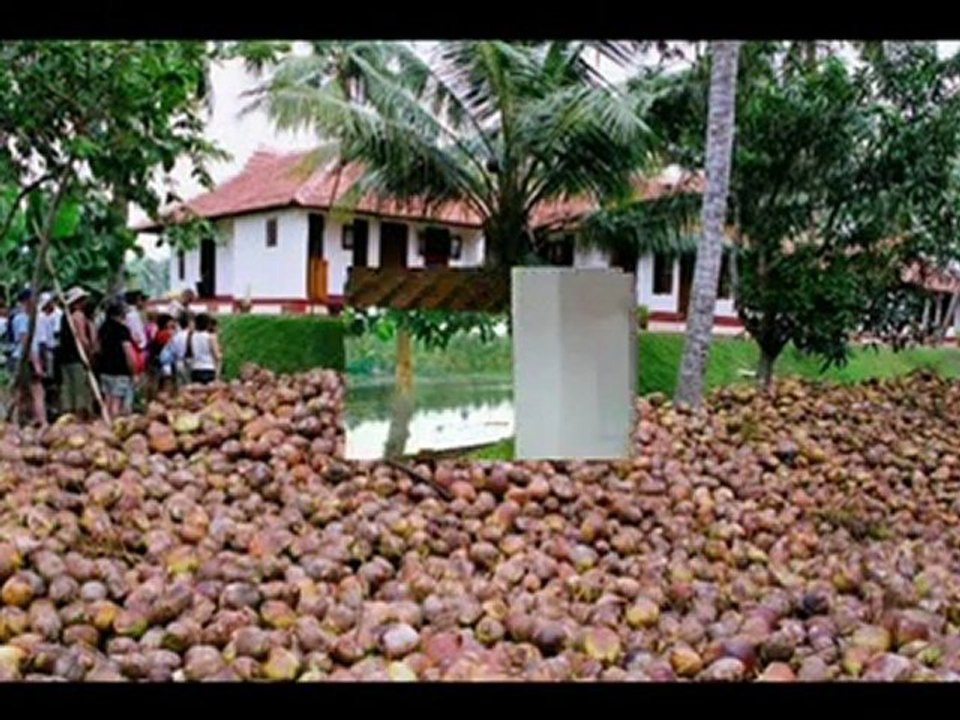 Travel To Care Philipkutty's Farm House Vechur Kerala India