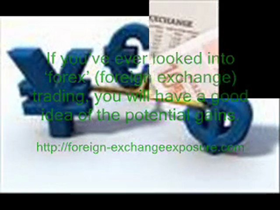 Foreign Exchange Exposure
