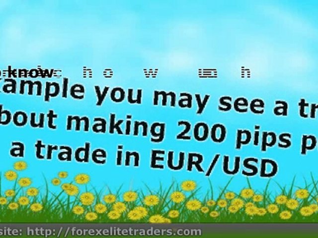 What Is A Currency Trading Pip?