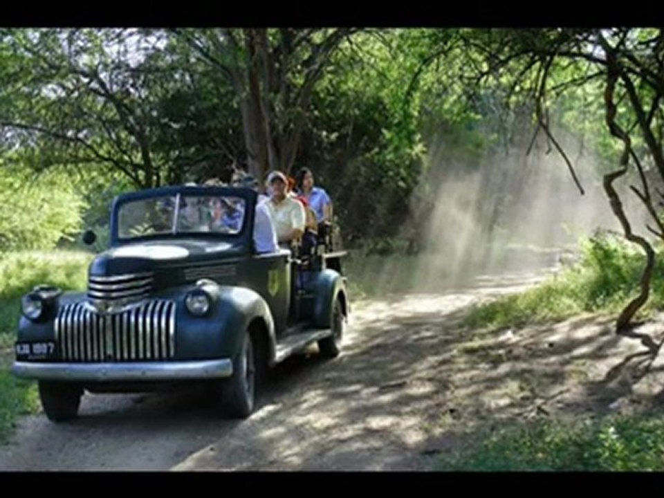 Travel To Care Rawla Jojawar Jojawar Rajasthan India