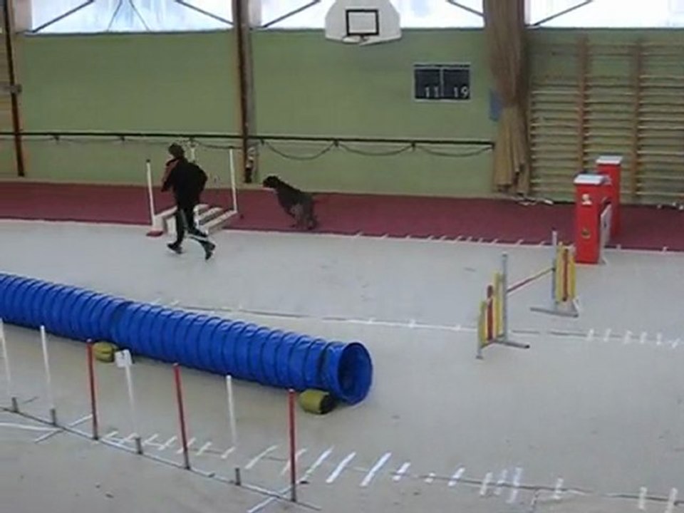 jumping audun