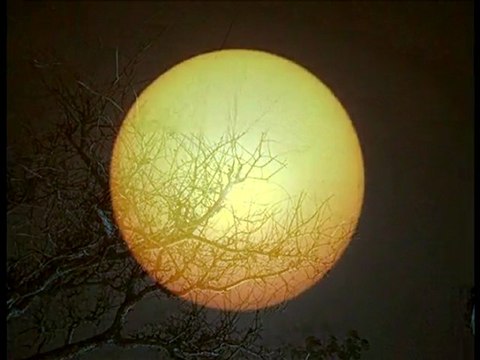 Photos Galerie Blog (blog de photographe)