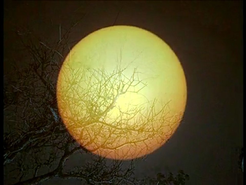 Photos Galerie Blog (blog de photographe)