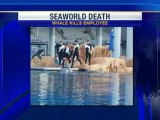 SeaWorld Trainer Killed By Whale