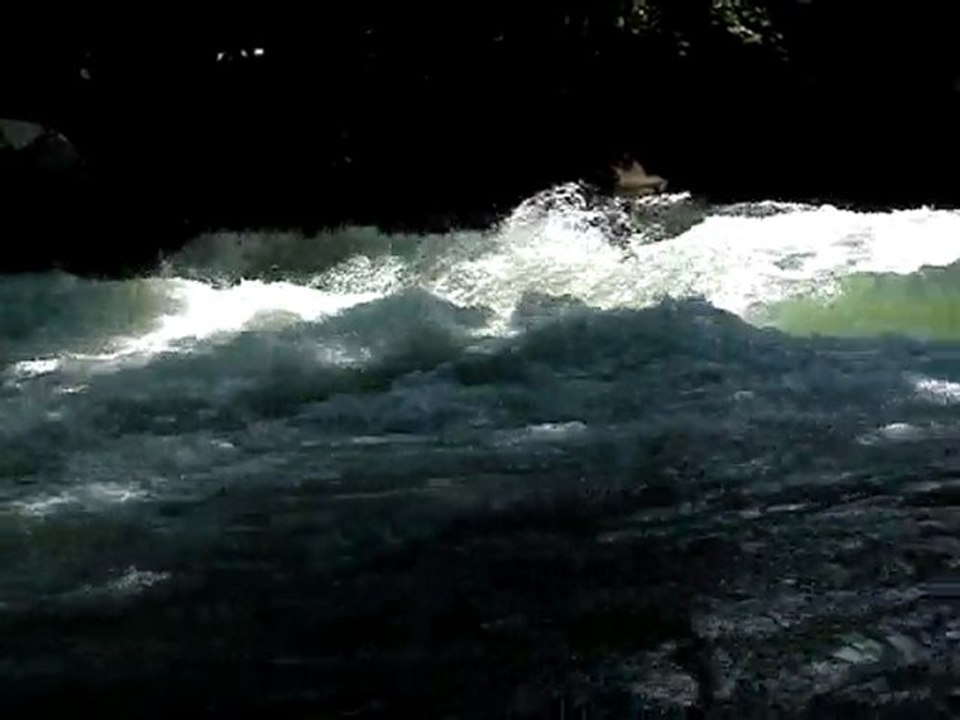 surf in munich