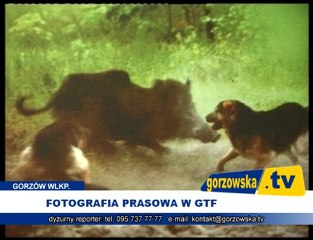 Fotografia prasowa w Małej Galerii GTF