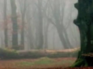 Mark Gasser: Grieg Notturno Op 54 No 4 (live)