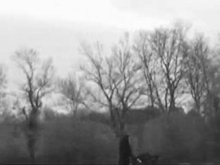 je les aime,les chevaux!