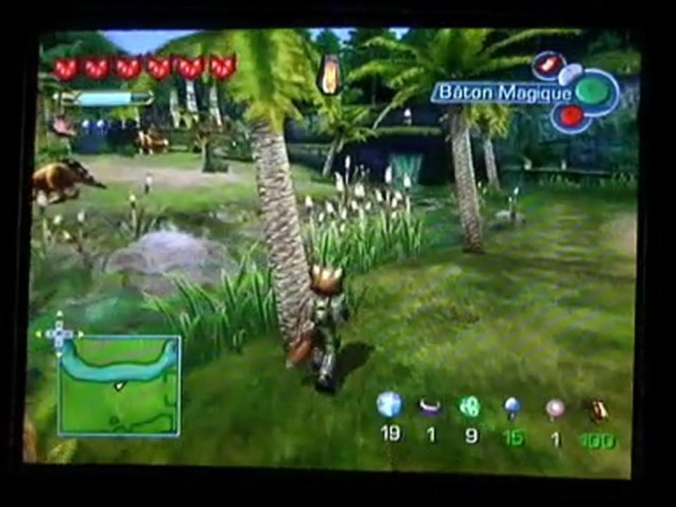 Starfox Adventures (23) : King Redeye