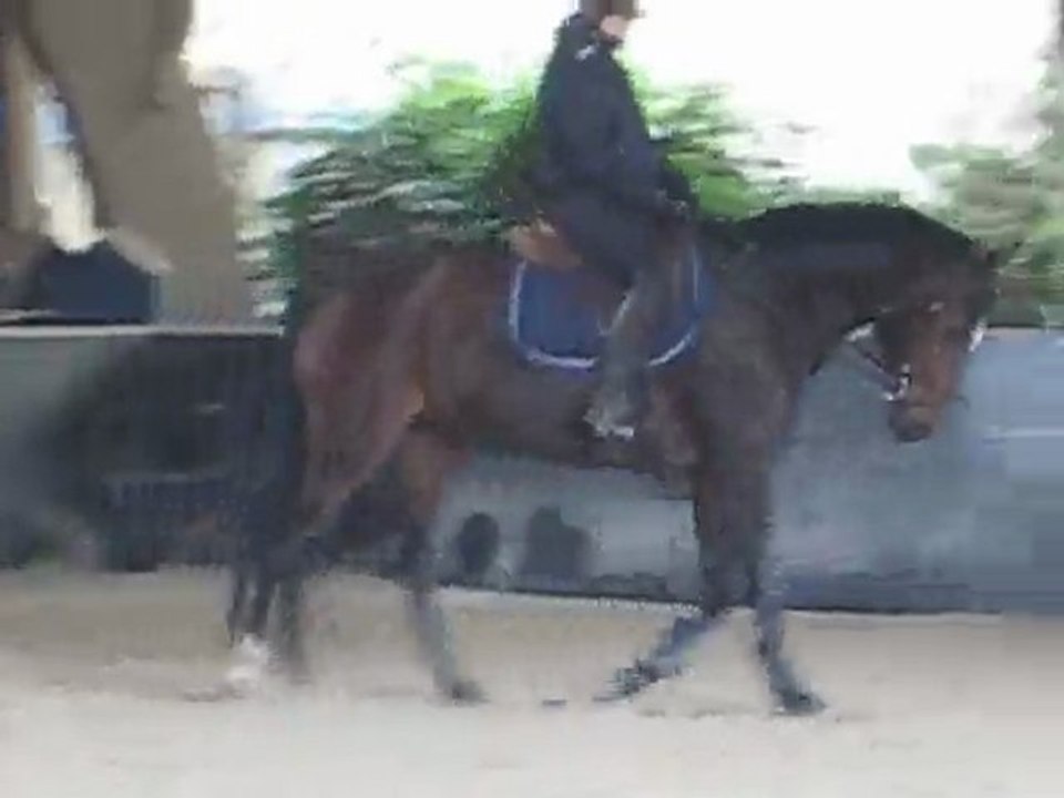 One more au trot