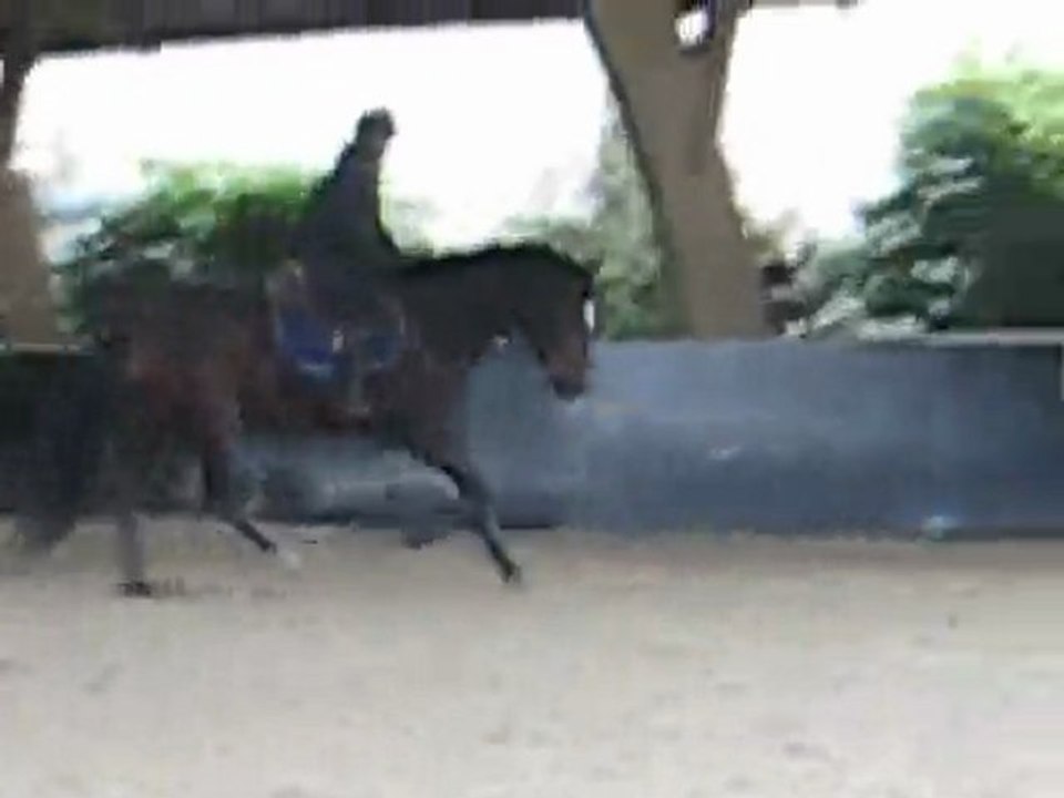 One more au galop