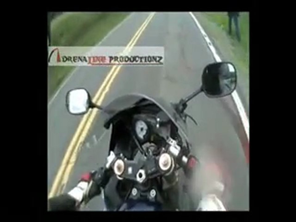 Moto vs cerf