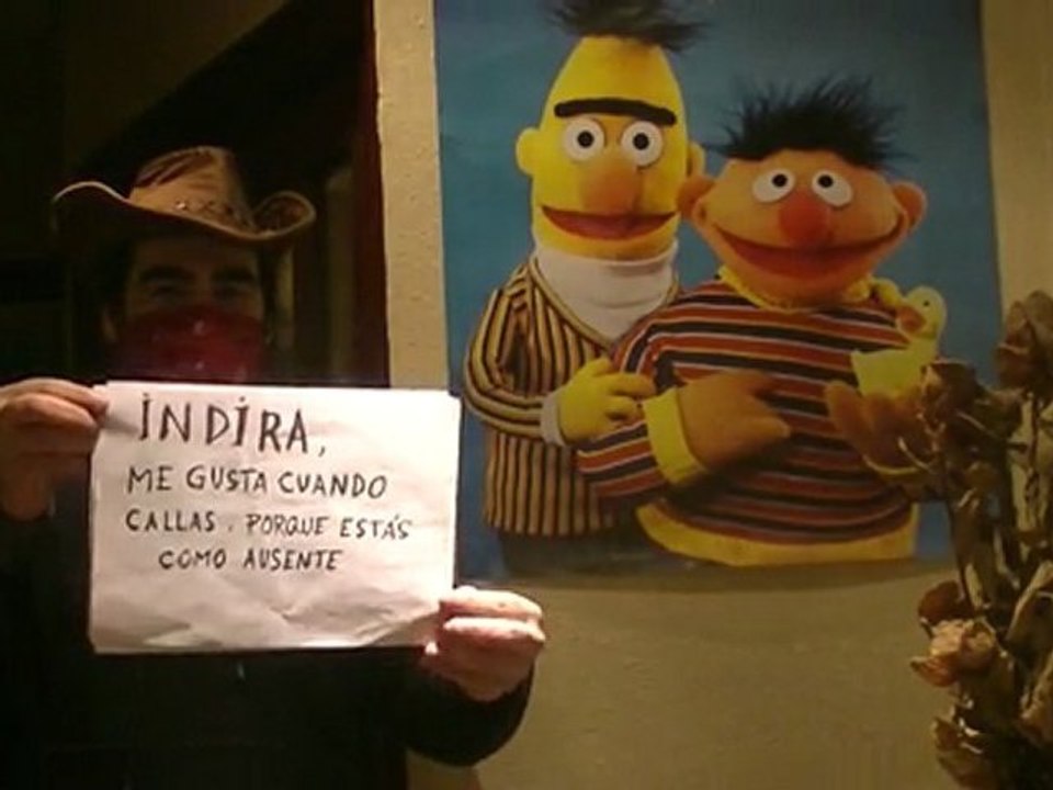 Jimador X
