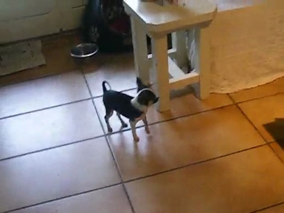 la petite