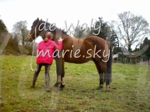 Waly Ja' Balade Cabrer ♥ sauts